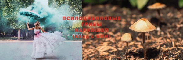 дурь Нея