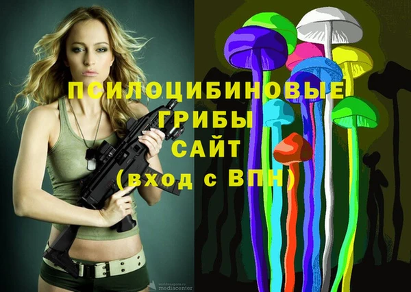соль курить ск Богданович