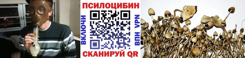 hydra маркетплейс Бикин Псилоцибиновые грибы прущие грибы